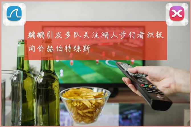 鹈鹕引发多队关注湖人步行者积极询价赫伯特琼斯