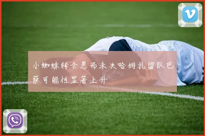 小蜘蛛转会悬而未决哈姆扎留队巴萨可能性显著上升